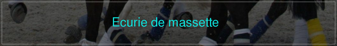 Ecurie de massette  